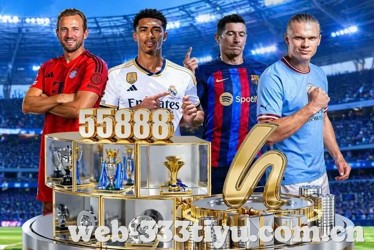 333体育